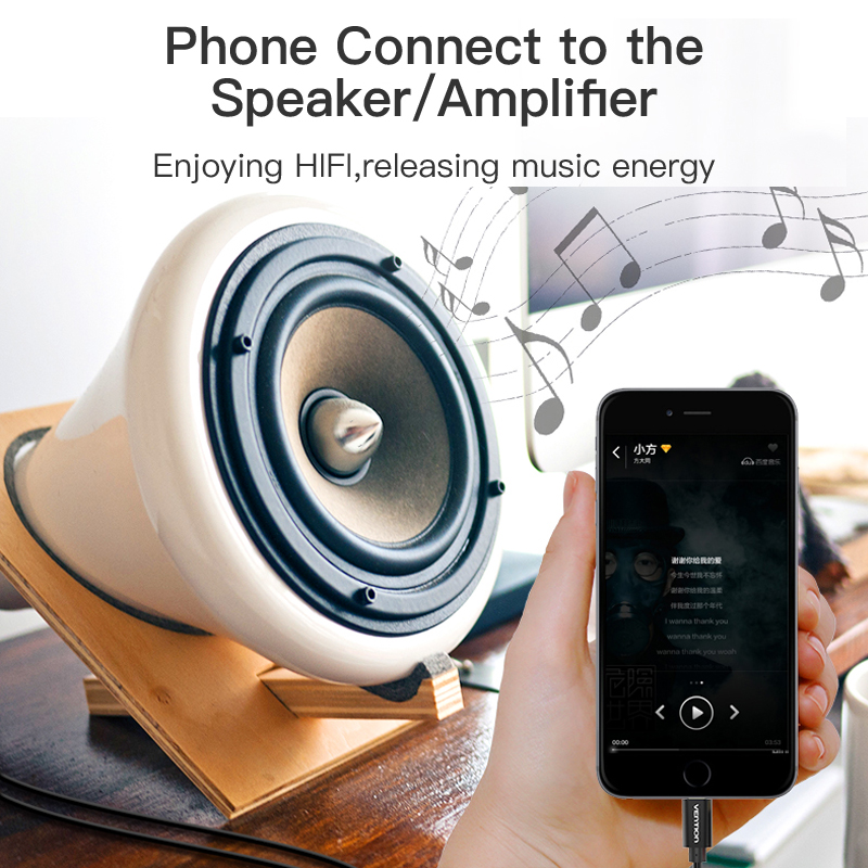 USB C RCA Audio Type-C 2สาย RC - Home Cinema Solution บทวิจารณ์และราคา